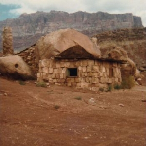 Foster Josephine - Domestic Sphere i gruppen VINYL / Pop-Rock hos Bengans Skivbutik AB (4233190)