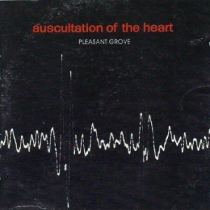 Pleasant Grove - Auscultation Of The Heart i gruppen VINYL / Pop hos Bengans Skivbutik AB (4233330)