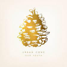 Urban Cone - Our Youth i gruppen VINYL / Pop-Rock hos Bengans Skivbutik AB (4233896)