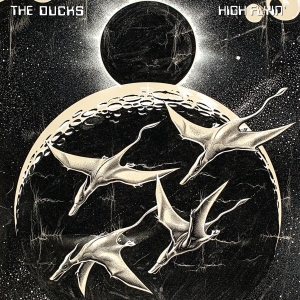 The Ducks - High Flyin' i gruppen ÖVRIGT / -Start WBM hos Bengans Skivbutik AB (4236120)