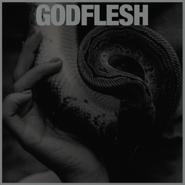 Godflesh - Purge (Vinyl Lp) i gruppen VINYL / Pop hos Bengans Skivbutik AB (4236134)