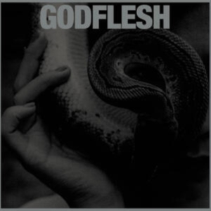 Godflesh - Purge i gruppen CD / Pop-Rock hos Bengans Skivbutik AB (4236147)