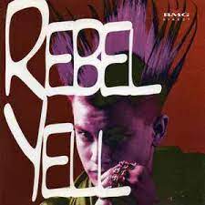 Rebel Yell - Billy Idol Damned Ian Dury Etc i gruppen CD / Pop-Rock hos Bengans Skivbutik AB (4237206)