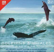 Dolphins & Whales - Pacific Playtime-Caribbean Chorale Mfl i gruppen VI TIPSAR / CDSALE2303 hos Bengans Skivbutik AB (4237802)