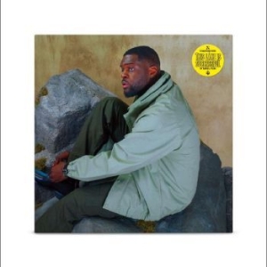 Varnish La Piscine - This Lake Is Successful i gruppen VINYL / Pop-Rock hos Bengans Skivbutik AB (4238140)