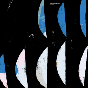 Fire! Orchestra - Echoes i gruppen MUSIK / Dual Disc / Pop-Rock hos Bengans Skivbutik AB (4238908)