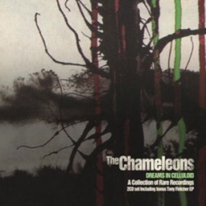 Chameleons The - Dreams In Celluloid (2 Cd) i gruppen CD / Pop hos Bengans Skivbutik AB (4238916)
