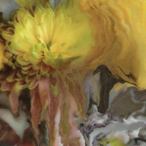 Parker Millsap - Wilderness Within You i gruppen VINYL / World Music hos Bengans Skivbutik AB (4241193)