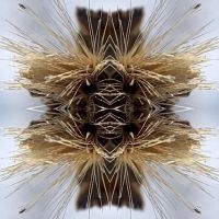 Yakuza - Sutra i gruppen CD / Hårdrock hos Bengans Skivbutik AB (4241253)