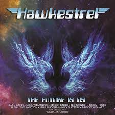Hawkestrel - The Future Is Us i gruppen VINYL / Pop hos Bengans Skivbutik AB (4242297)