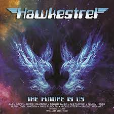 Hawkestrel - The Future Is Us i gruppen VINYL / Pop-Rock hos Bengans Skivbutik AB (4242297)
