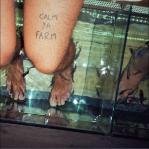 Murlocs The - Calm Ya Farm i gruppen VINYL / Hårdrock hos Bengans Skivbutik AB (4242557)