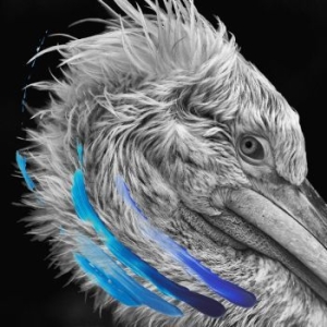 Lies - Lies i gruppen VINYL / Pop-Rock hos Bengans Skivbutik AB (4242563)