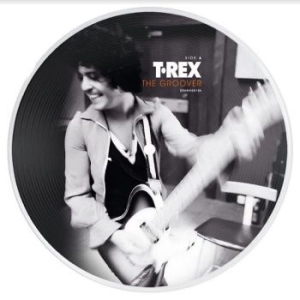 T. Rex - The Groover (50Th Anniversary) i gruppen VINYL / Pop-Rock hos Bengans Skivbutik AB (4242579)