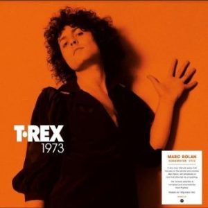 T. Rex - Songwriter: 1973 i gruppen VINYL / Pop-Rock hos Bengans Skivbutik AB (4242586)