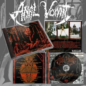 Anal Vomit - Demoniac Flagellations i gruppen CD / Hårdrock hos Bengans Skivbutik AB (4242637)