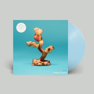 Pozi - Smiling Pools i gruppen VINYL / Hårdrock,Pop-Rock hos Bengans Skivbutik AB (4244272)