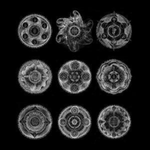 Zorn John & Bill Laswell - Memoria i gruppen CD / Jazz hos Bengans Skivbutik AB (4244366)