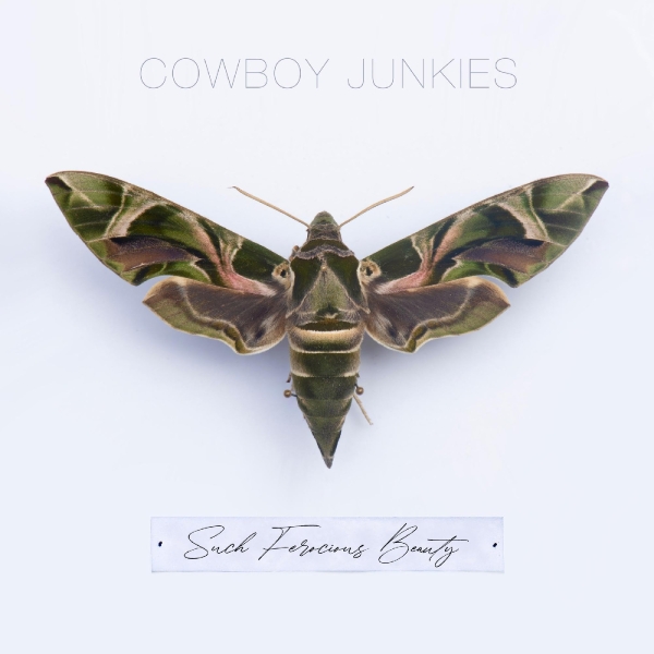 Cowboy Junkies - Such Ferocious Beauty (Tan Transluc i gruppen VINYL / Toppsäljare hos Bengans Skivbutik AB (4245485)