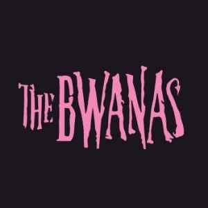 The Bwanas - The Bwanas i gruppen CD / Pop-Rock,Svensk Musik hos Bengans Skivbutik AB (4247315)