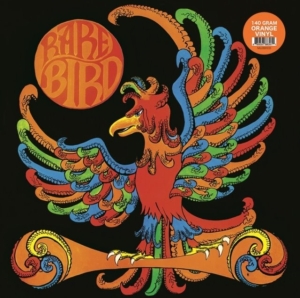 Rare Bird - Rare Bird i gruppen VINYL / Pop-Rock hos Bengans Skivbutik AB (4248518)