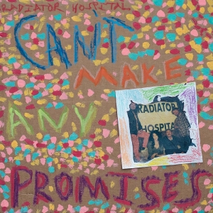 Radiator Hospital - Can't Make Any Promises i gruppen VINYL / Hårdrock,Pop-Rock hos Bengans Skivbutik AB (4248548)