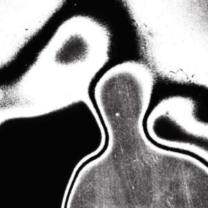 Lunacy - Universal Pressure i gruppen VINYL / Hårdrock,Pop-Rock hos Bengans Skivbutik AB (4248582)