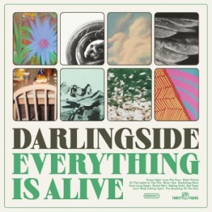 Darlingside - Everything Is Alive i gruppen VINYL / World Music hos Bengans Skivbutik AB (4249672)