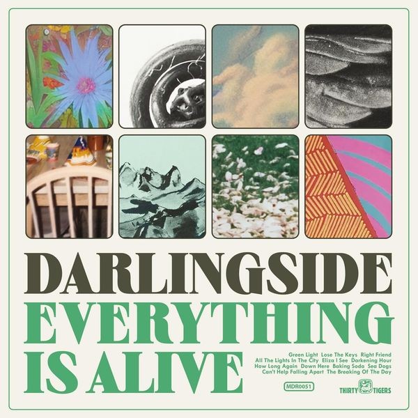 Darlingside - Everything Is Alive i gruppen CD / Worldmusic/ Folkmusik hos Bengans Skivbutik AB (4249682)