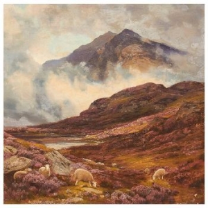 Råå - Ljungens Lag i gruppen Minishops / Råå hos Bengans Skivbutik AB (4254386)