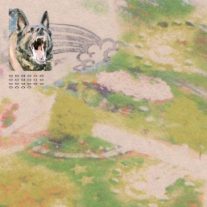 Feeble Little Horse - Girl With Fish (Indie Exclusive, Gr i gruppen VINYL / Hårdrock/ Heavy metal hos Bengans Skivbutik AB (4255223)