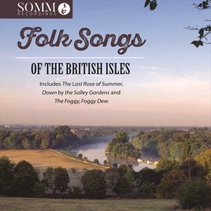 Various - Folksongs Of The British Isles i gruppen Externt_Lager / Naxoslager hos Bengans Skivbutik AB (4255552)