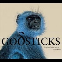 Godsticks - This Is What A Winner Looks Like i gruppen VINYL / Pop-Rock hos Bengans Skivbutik AB (4256013)