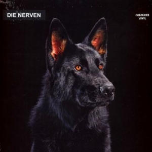 Die Nerven - Die Nerven (Transparent Orange Viny i gruppen VINYL / Pop hos Bengans Skivbutik AB (4256017)