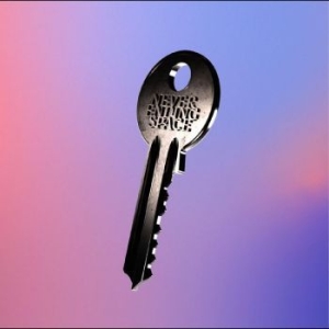 Chain Of Flowers - Never Ending Space i gruppen VINYL / Pop-Rock hos Bengans Skivbutik AB (4256029)