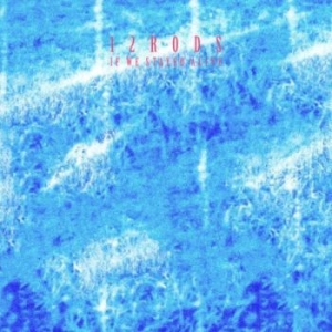 12 Rods - If We Stayed Alive i gruppen VINYL / Hårdrock hos Bengans Skivbutik AB (4256354)