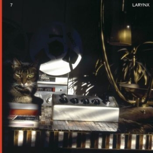 Lary 7 - Larynx i gruppen VINYL / Pop-Rock hos Bengans Skivbutik AB (4257166)
