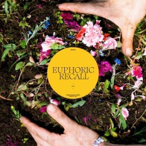 Braids - Euphoric Recall i gruppen VINYL / Pop-Rock hos Bengans Skivbutik AB (4258396)
