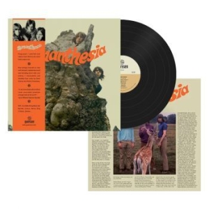 Synanthesia - Synanthesia (Vinyl Lp) i gruppen VINYL / Rock hos Bengans Skivbutik AB (4258406)