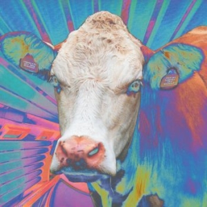 Eyes Of Others - Eyes Of Others i gruppen CD / Hårdrock hos Bengans Skivbutik AB (4259314)