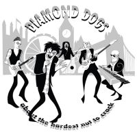 Diamond Dogs - About The Hardest Nut To Crack i gruppen ÖVRIGT / Diamond Dogs hos Bengans Skivbutik AB (4259380)