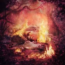 Weezer - Sznz: Summer i gruppen ÖVRIGT / -Start FVS hos Bengans Skivbutik AB (4259398)