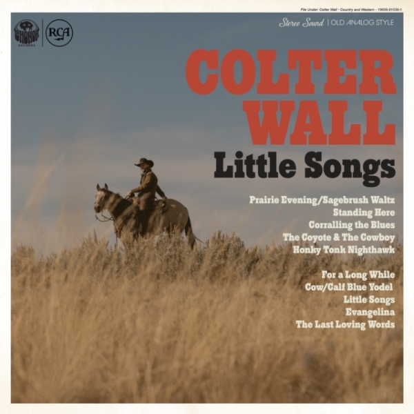 Wall Colter - Little Songs i gruppen CD / Toppsäljare hos Bengans Skivbutik AB (4260847)
