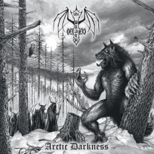 Black Beast - Arctic Darkness (Vinyl Lp) i gruppen VINYL / Hårdrock/ Heavy metal hos Bengans Skivbutik AB (4261270)