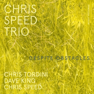 Chris Speed Trio - Despite Obstacles i gruppen CD / Jazz hos Bengans Skivbutik AB (4261651)