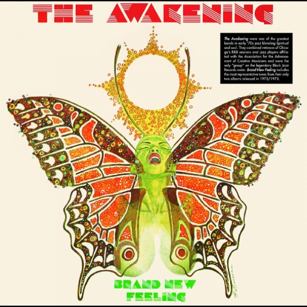 Awakening The - Brand New Feeling i gruppen VINYL / Toppsäljare hos Bengans Skivbutik AB (4265146)
