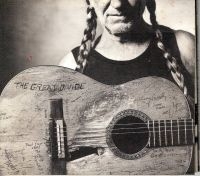 Willie Nelson - The Great Divide i gruppen VINYL / Country hos Bengans Skivbutik AB (4265222)