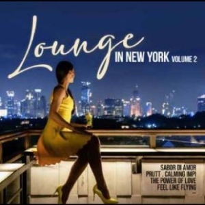Various Artists - Lounge In New York Vol. 2 i gruppen MUSIK / Dual Disc / Pop-Rock hos Bengans Skivbutik AB (4265513)