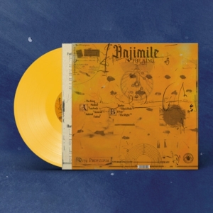 ANJIMILE - THE KING (YELLOW VINYL) i gruppen VINYL / Pop-Rock hos Bengans Skivbutik AB (4265782)