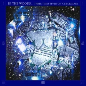 In The Woods - Three Times Seven On A Pilgrimage ( i gruppen VINYL / Hårdrock hos Bengans Skivbutik AB (4266642)